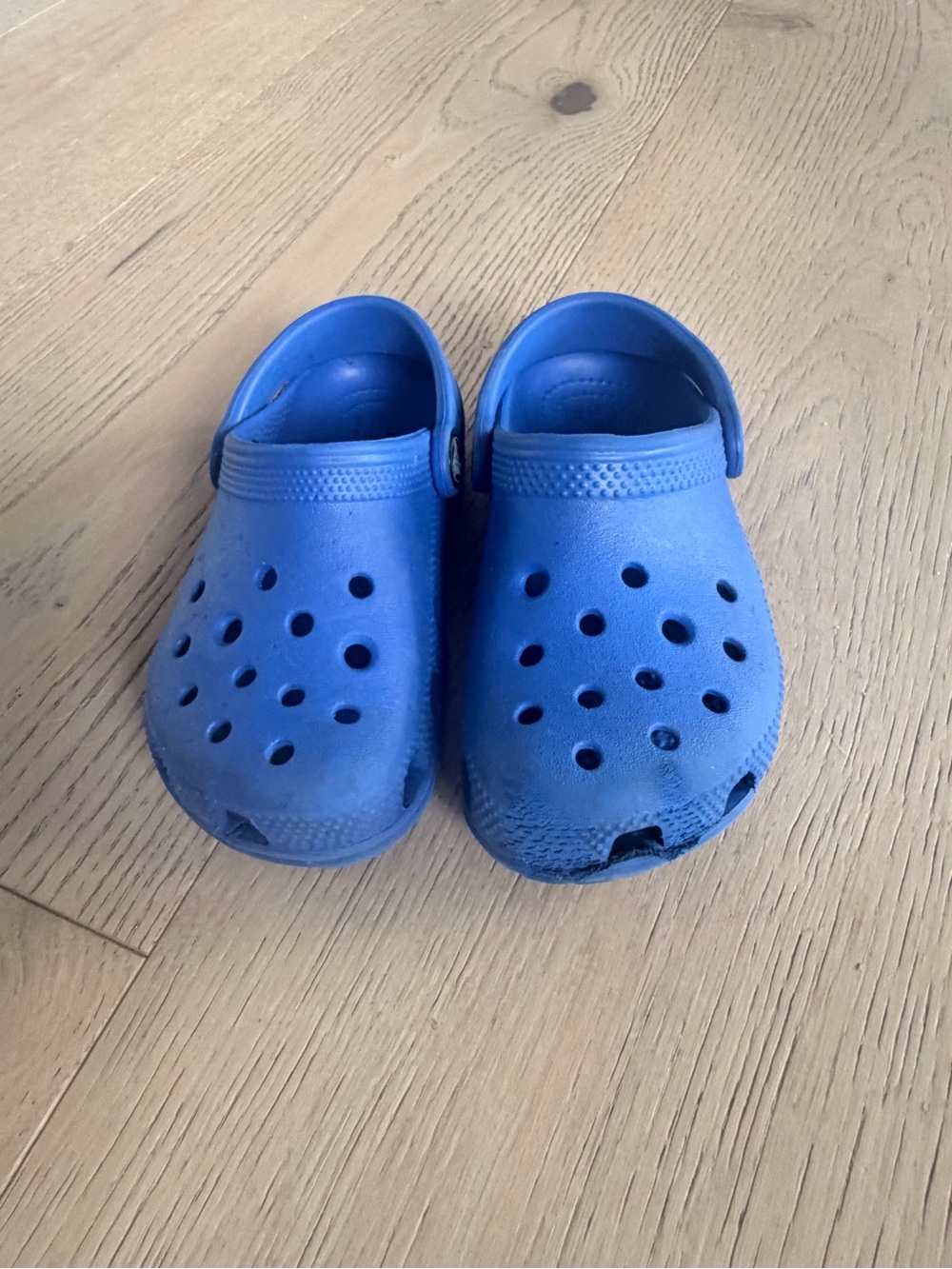 CROCS Kids Royal Blue Classic Clogs
